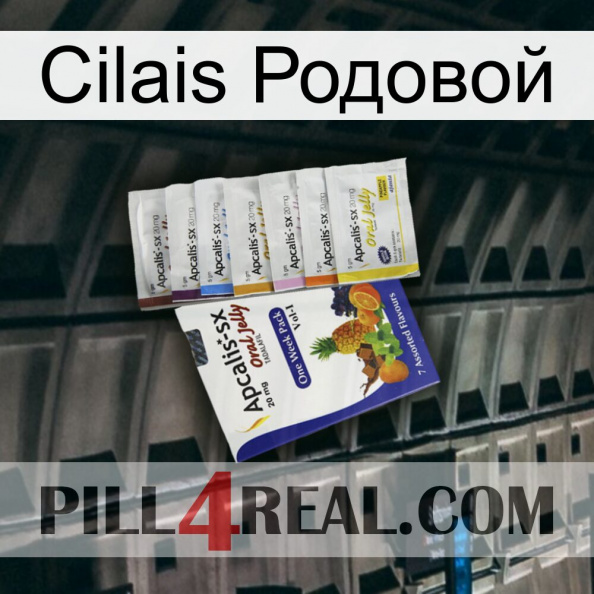 Cilais Родовой 11.jpg